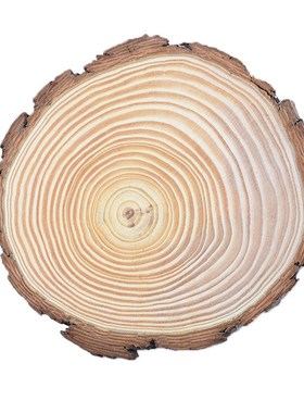 1pcs 6-15cm Thick Natural Pine Round nfinished Wood Slices C