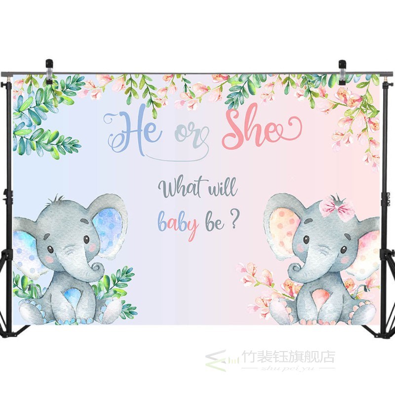 NeoBack Gender Reveal Photo Backdrop Newborn Baby Shower Ba