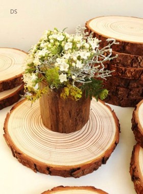 nfinished Natural Round Wood Slices Circles With Tree Bark L