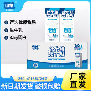 【新鲜日期】贵州贵阳特产山花纯牛奶250mlx16盒24盒整箱装