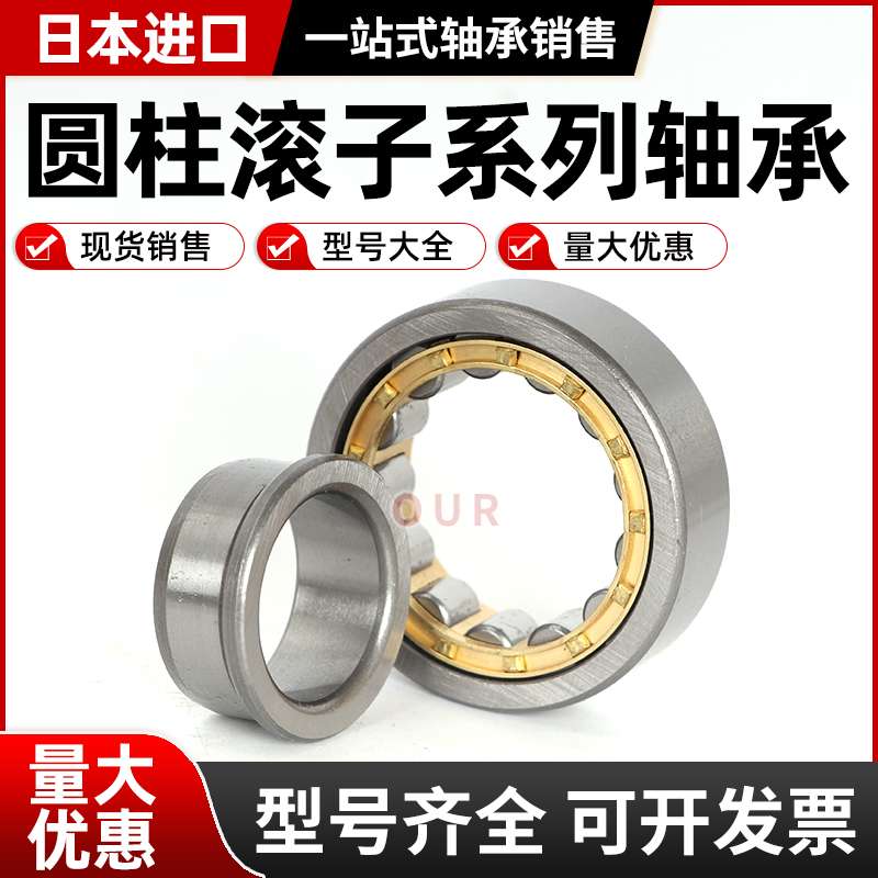 进口圆柱滚子轴承NUP RNU RN238 240 244 248 252 256 260 EM
