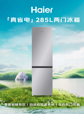 海尔真省电285L两门家用小户型冰箱一级能效灰色BCD-285WGHC2DES9