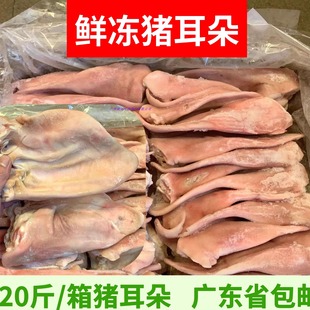 20斤 带根猪耳 卤菜饭店商用 新鲜冷冻猪耳片耳尖生猪耳 猪耳朵