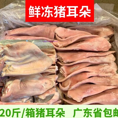 新鲜冷冻猪耳朵猪耳片卤菜