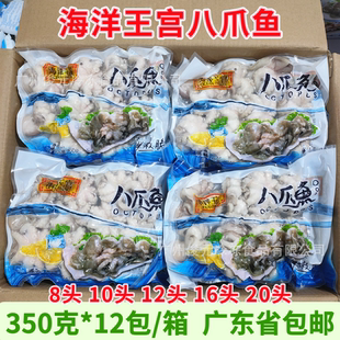 海洋王宫小八爪鱼小章鱼迷你八爪鱼大爆头八爪鱼冷冻火锅食材商用