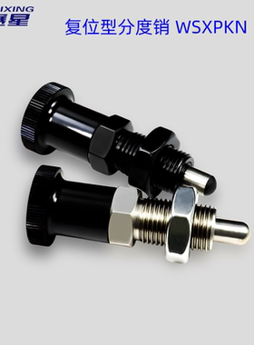 304不锈钢自复位型止动定位柱限位分度销弹簧销旋钮柱塞拉销SXPKN