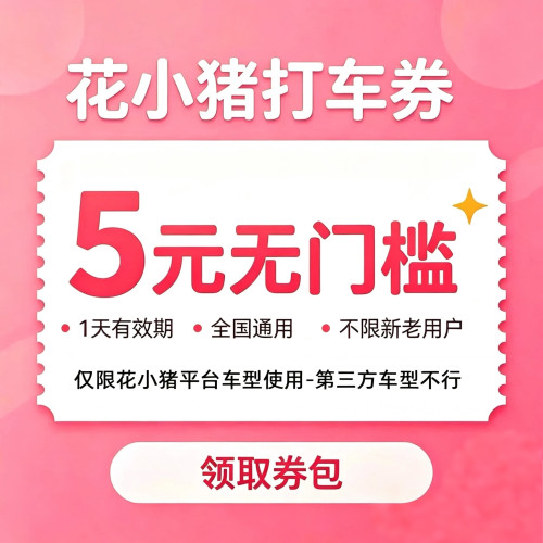 花小猪5元无门槛立减券自动发货