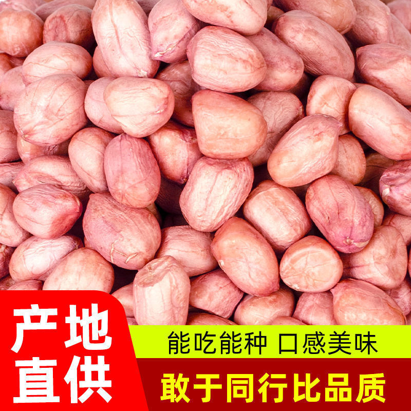 【23年新货大颗粒】现剥新货特价精选无壳白沙花生米粉红皮新鲜生