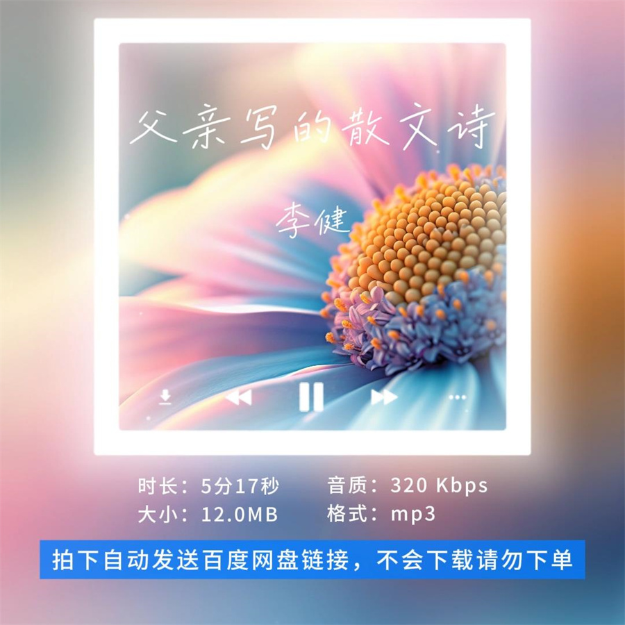 【淘淘伴奏】B2385李健 父亲写的散文诗 歌手live版伴奏 无人声