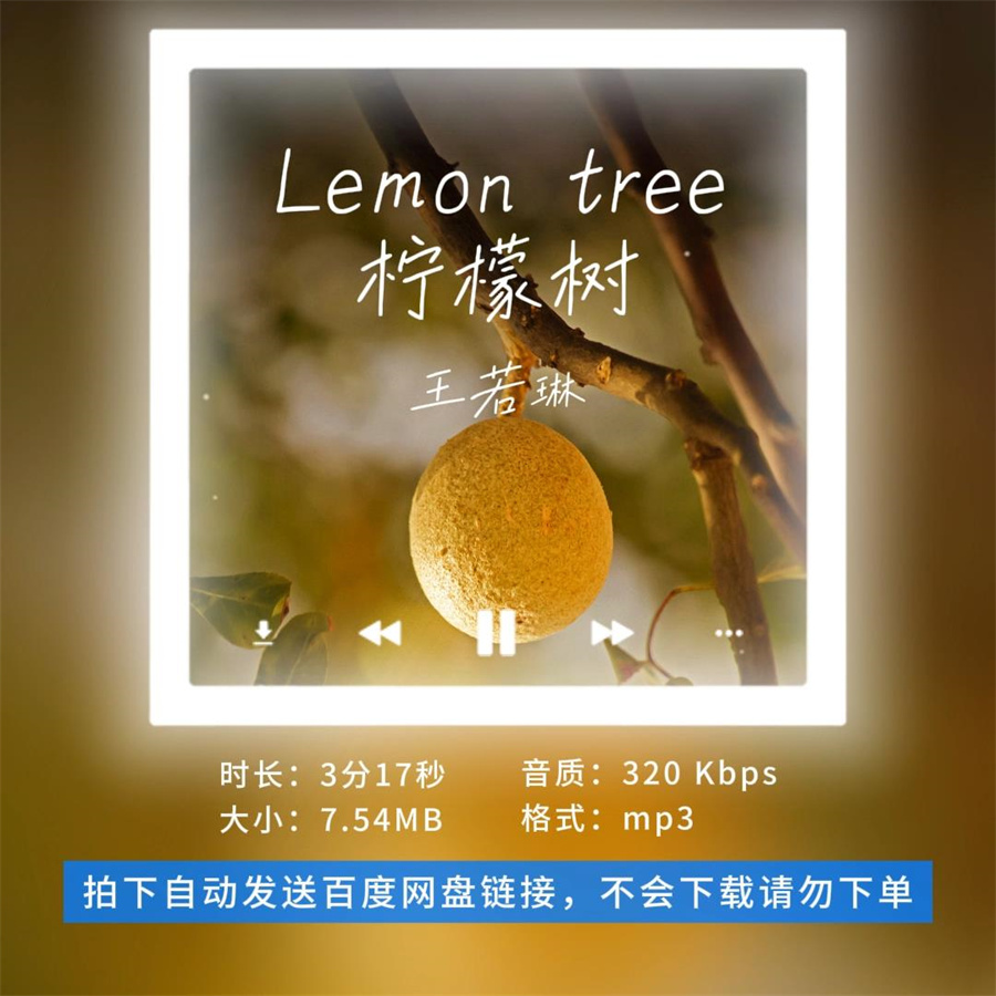 【淘淘伴奏】B1459王若琳Lemon tree柠檬树 中文版伴奏 无人声