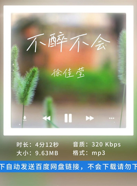 【淘淘伴奏】B2152徐佳莹 不醉不会 歌手live版伴奏 带和声