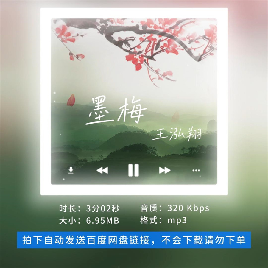 【淘淘伴奏】B1449王泓翔 墨梅 经典咏流传live版伴奏 无人声