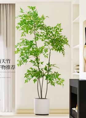 彷真绿色植物南天竹客厅落地假盆栽高端轻奢彷生植物大型摆件造景