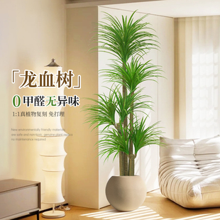 仿真绿植龙血树高端轻奢室内客厅装饰落地摆件植物盆栽大型假绿植