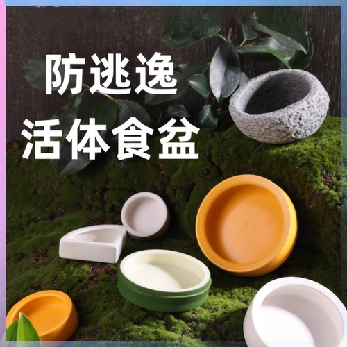 陶瓷爬宠水盆食盆防逃逸