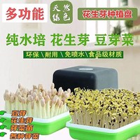 花生芽育苗盆發(fā)芽神器水培種植