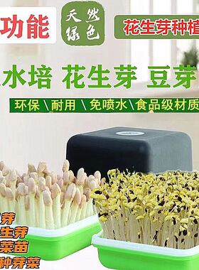 花生芽育苗盆发芽神器水培种植