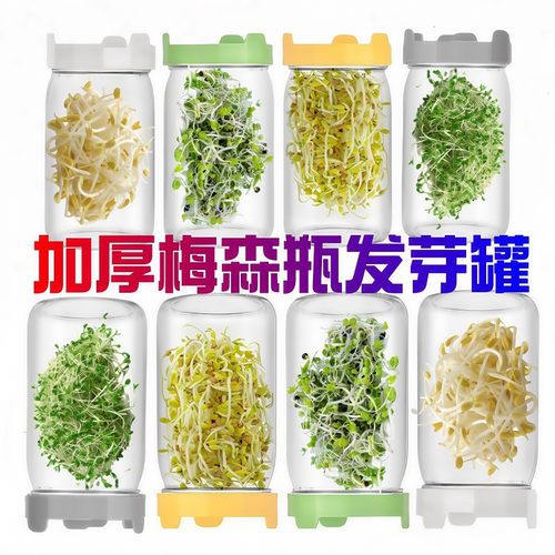 家用梅森瓶发芽罐水培芽菜玻璃瓶