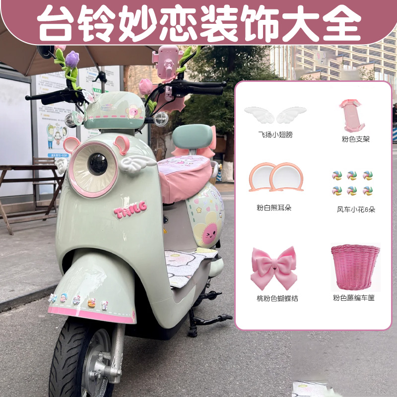 台铃妙恋装饰配件大全eb电动车改造贴纸挡风板可爱电瓶车配饰用品