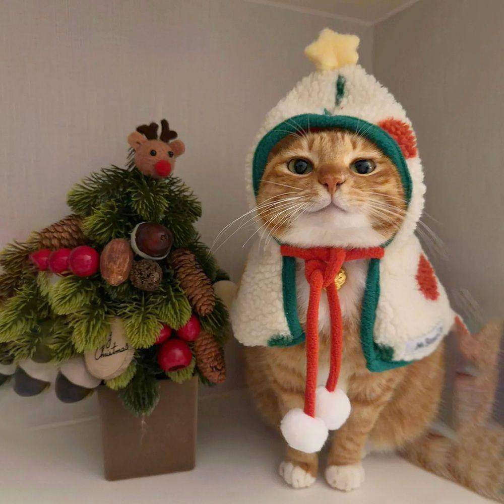 猫咪狗狗圣诞斗篷可爱冬季保暖宠物新年搞怪拍照过年宠物披肩,宠物/宠物食品及用品,猫宠物服装/雨衣（新）,淘宝优惠券,粉丝福利购,淘宝优惠卷