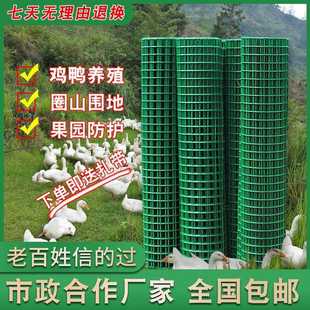 铁网子围栏铁栏栅铁网格网绿色铁丝密网户外养殖场鸡舍养鸡护栏网