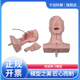 吸痰练习模型口鼻插入吸引管技能训练模拟F吸痰模拟人体教学训练