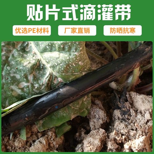 滴灌管农用16mm贴片式滴灌带草莓葡萄大棚pe滴管微喷灌溉设备配件