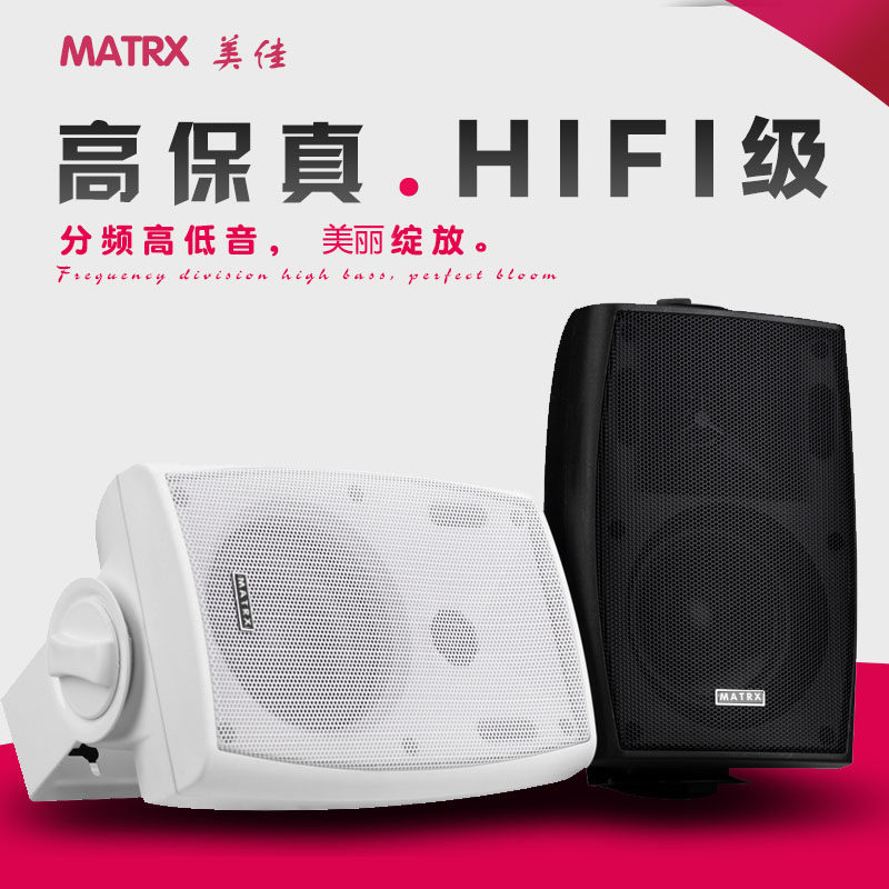会议壁挂音箱40w背m景音乐挂壁喇叭专业音箱定压定阻可调20w/30w