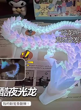 【22cm】夜光龙3d打印龙