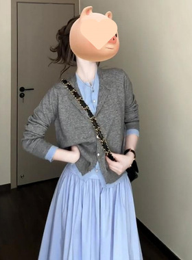 春季套装女2025新款韩系氛围感穿搭假两件针织开衫配半身裙