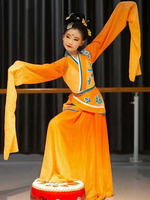 丽人行舞蹈服装古典舞女子飘逸百舞惊鸿水袖玉人演出服汉唐舞蹈服