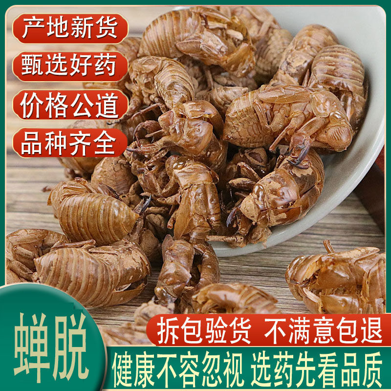 野生金蝉壳蝉蜕40g包邮