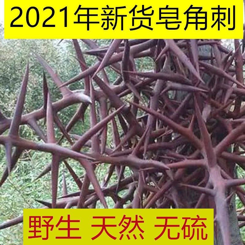 秦岭天然皂角刺500g野生皂角皂刺中药材中草药天丁纯刺棍刺红大刺