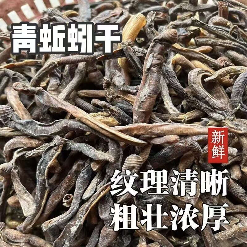 青蚯蚓干货地龙干新货整条饵料地