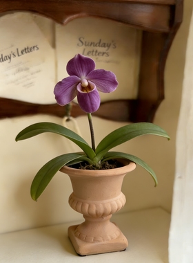 YFOR STUDIO北欧风大口径绿植盆栽客厅多肉高脚杯蝴蝶兰陶瓷花盆