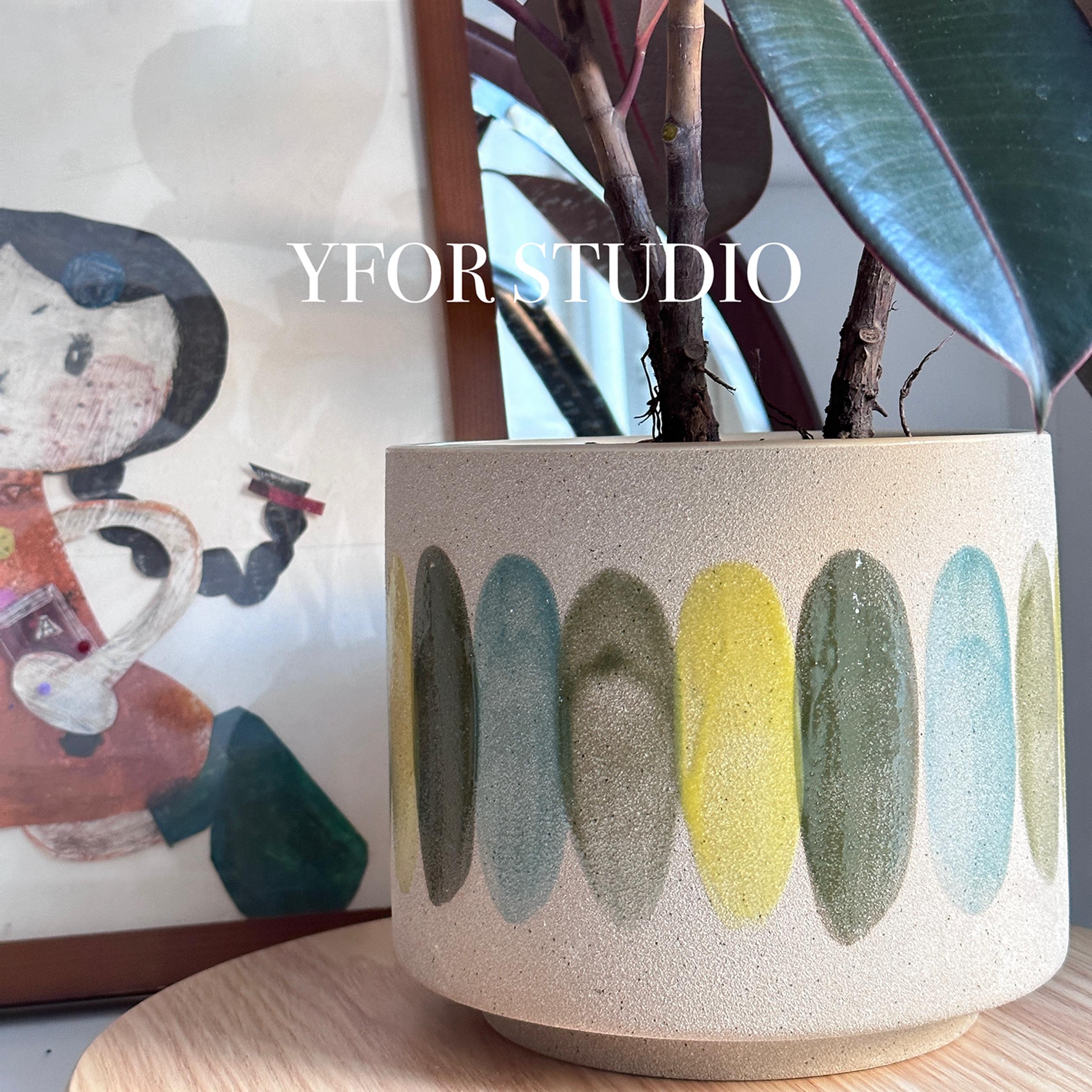 陶瓷花盆橡皮树轻奢高级