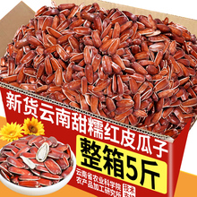 农科院云南生红瓜子新货大颗粒原味甜糯零食高原红皮瓜子生葵花籽