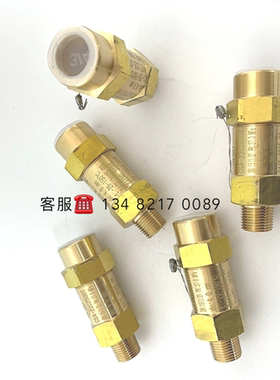 定制 高压安全阀 CSA-22C2500T DN15 整定37MPA