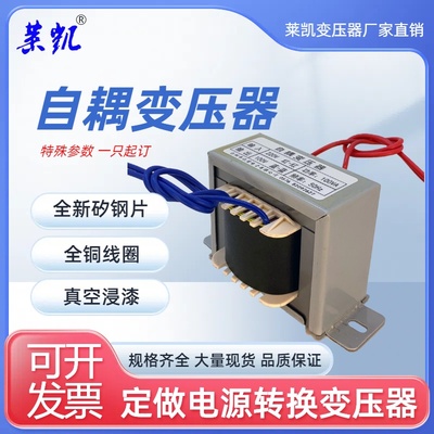 电源变压器自耦220V转110V/100V380转220V/110V进口电器转换定做