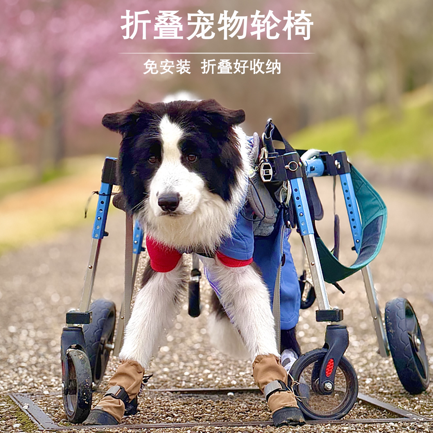 大型宠物康复训练轮椅老年狗狗后肢四轮可折叠免安装轻便辅助车