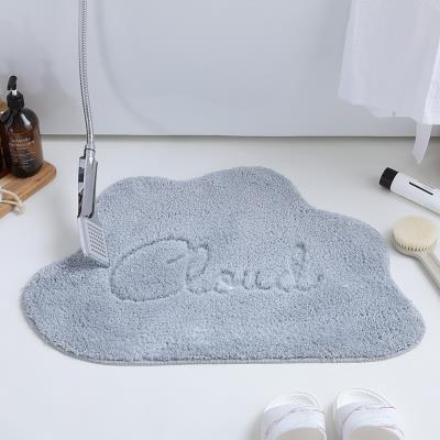 water floor mat carpet 极速Door aNbsorption pBad door foot