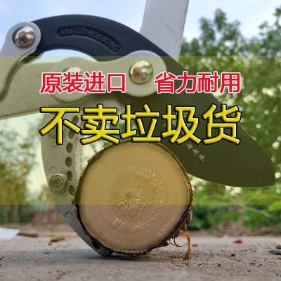 省力树枝家用f园林果枝花剪绿化剪枝工具果树剪刀花园修枝园艺修