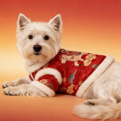 狗狗喜庆衣服泰迪比熊小型犬新年拜年服冬天加绒保暖中式国风棉衣