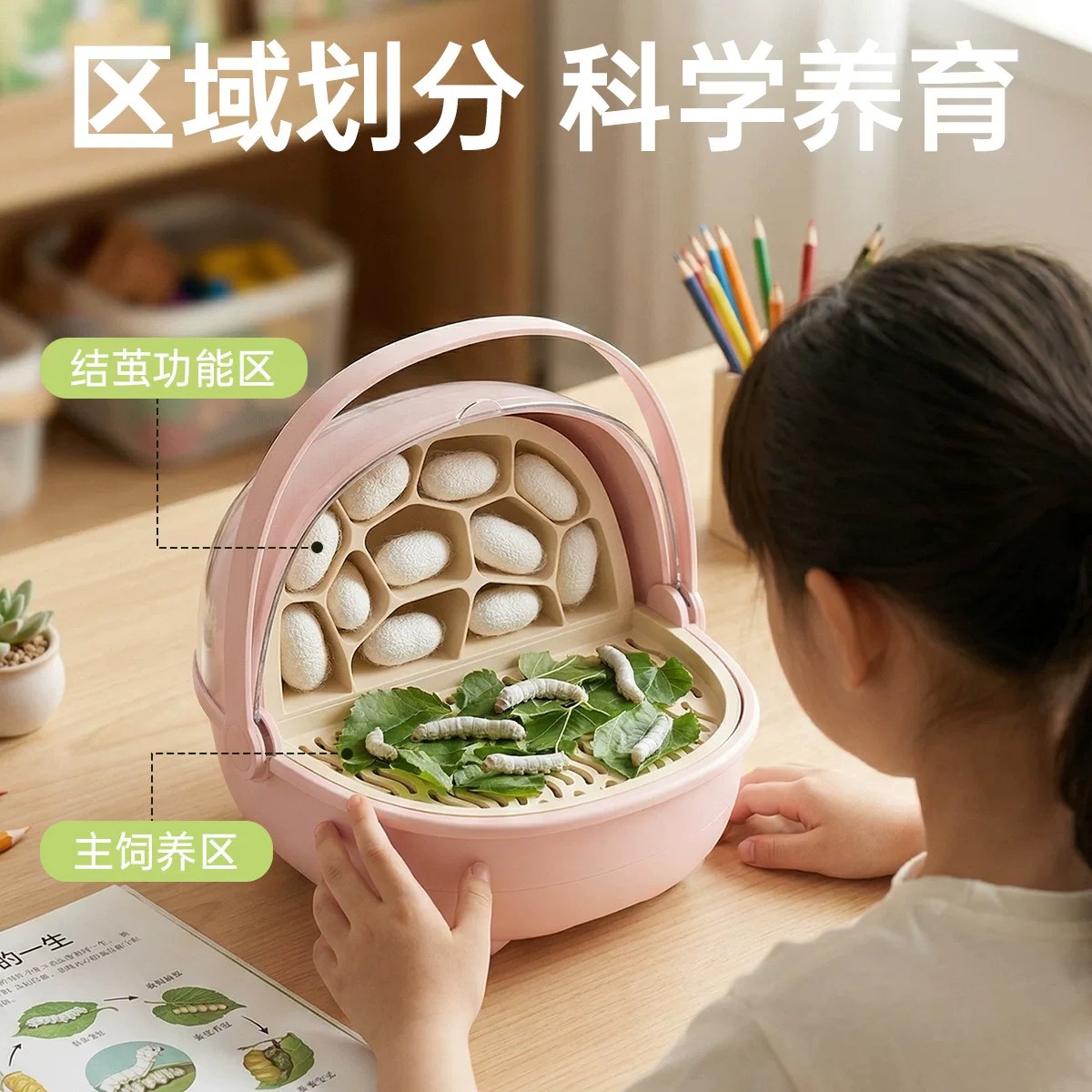 蚕宝宝太空舱饲养套装观察活体蚕