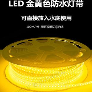 金黄光LED灯带24V黄光灯带酒店KTV工程低压户外防水金黄色灯带条
