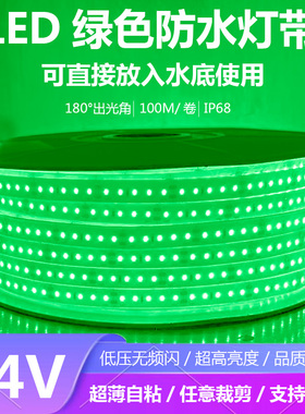 绿色灯带24V户外防水水下超亮绿植水草亮化装饰低压24伏绿光灯带