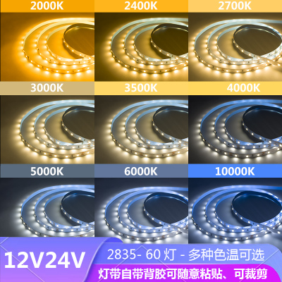 12V24V2835低功率5W每米色温灯带