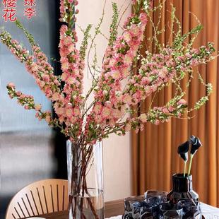 珍珠李樱花雪柳鲜枝鲜切龙柳室内好养水培植物水养桃花枝梅花开花