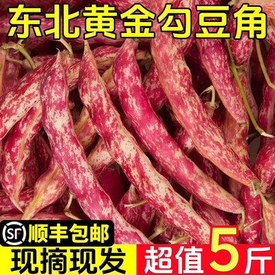 东北新鲜黄金勾豆角头茬黄金勾