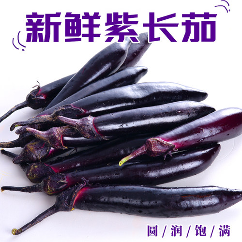 【现摘现发】东北茄子黑长紫茄